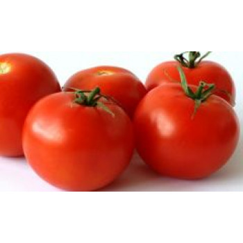 BIO rajčata 0,5 kg Česko
